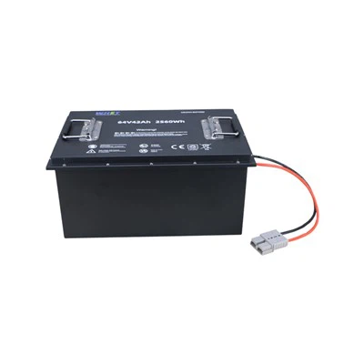 24V 48V AGV बैटरी